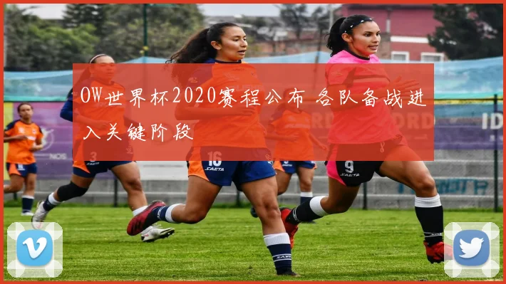 OW世界杯2020赛程公布 各队备战进入关键阶段