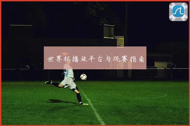 世界杯播放平台与观赛指南