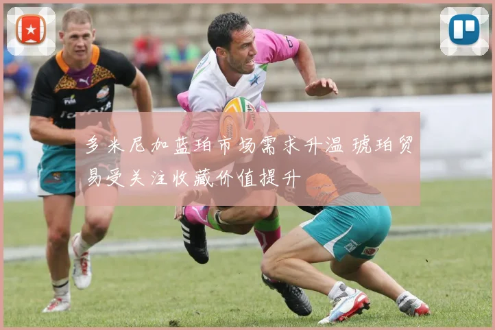多米尼加蓝珀市场需求升温 琥珀贸易受关注收藏价值提升