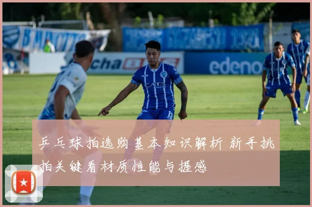 乒乓球拍选购基本知识解析 新手挑拍关键看材质性能与握感
