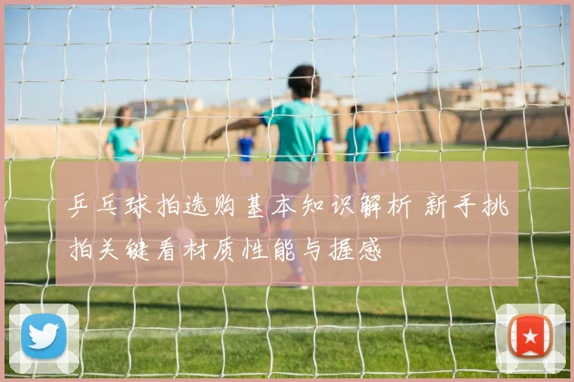 乒乓球拍选购基本知识解析 新手挑拍关键看材质性能与握感